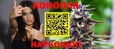 меф Лесосибирск