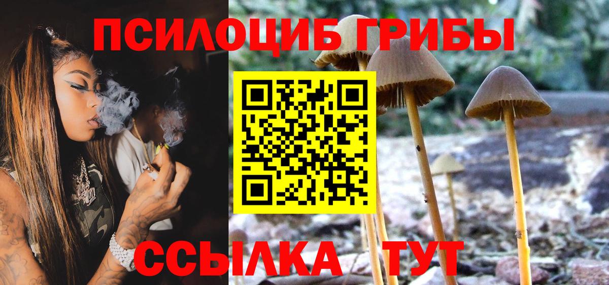 Дедовск  цена наркотик  Вход с VPN  Псилоцибиновые грибы мицелий 