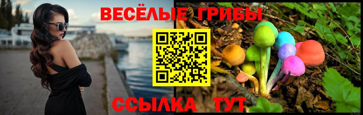 Галлюциногенные грибы MAGIC MUSHROOMS Дедовск